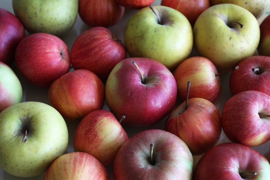 lots-of-apples.jpg